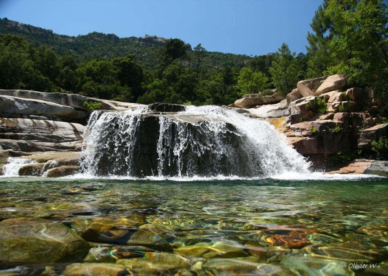 Villa Le Corail Rouge Corse Леччи Экстерьер фото