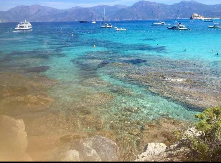 Villa Le Corail Rouge Corse Леччи Экстерьер фото