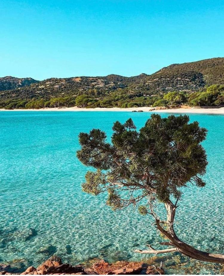 Villa Le Corail Rouge Corse Леччи Экстерьер фото