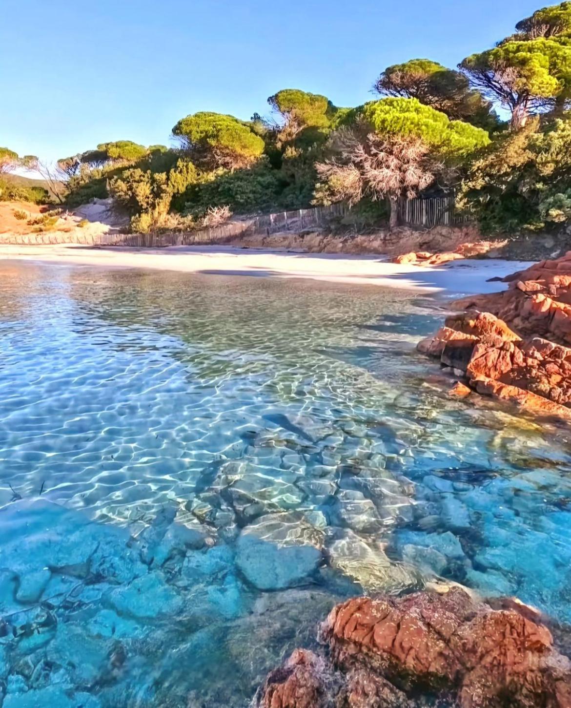 Villa Le Corail Rouge Corse Леччи Экстерьер фото