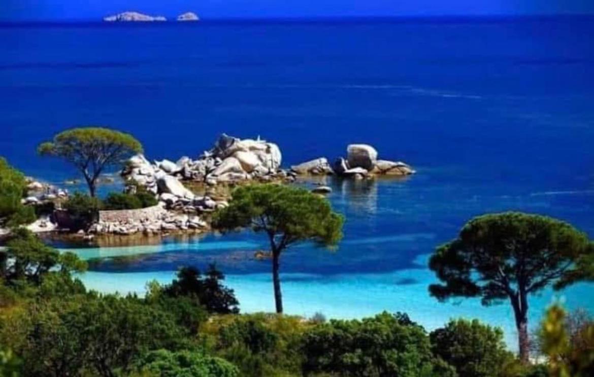 Villa Le Corail Rouge Corse Леччи Экстерьер фото